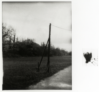 108587 Afbeelding van een groenstrook langs het Tolsteegplantsoen te Utrecht.N.B. Zie ook het Utrechts Nieuwsblad van ...